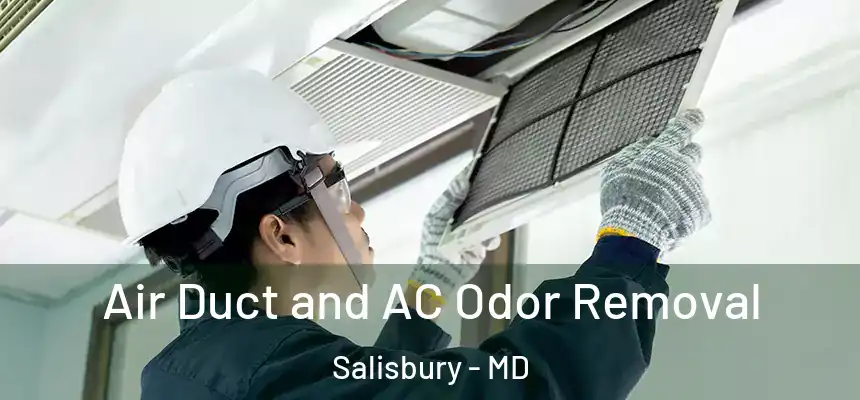  Air Duct and AC Odor Removal Salisbury - MD