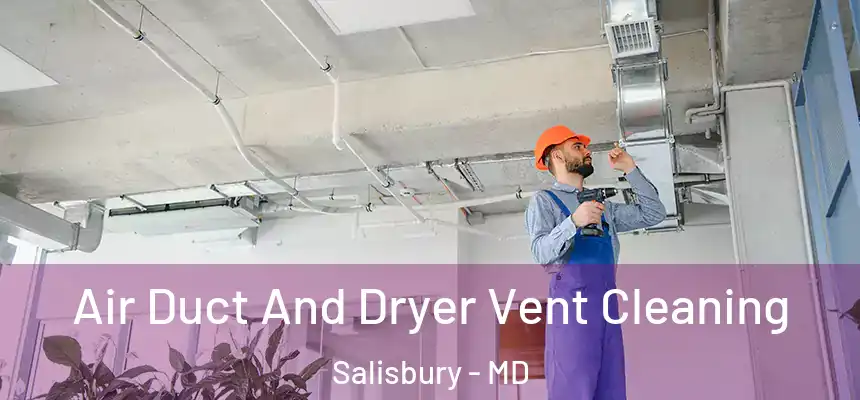  Air Duct And Dryer Vent Cleaning Salisbury - MD