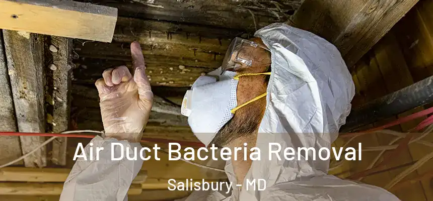  Air Duct Bacteria Removal Salisbury - MD