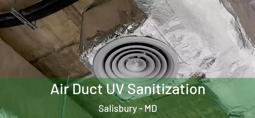  Air Duct UV Sanitization Salisbury - MD