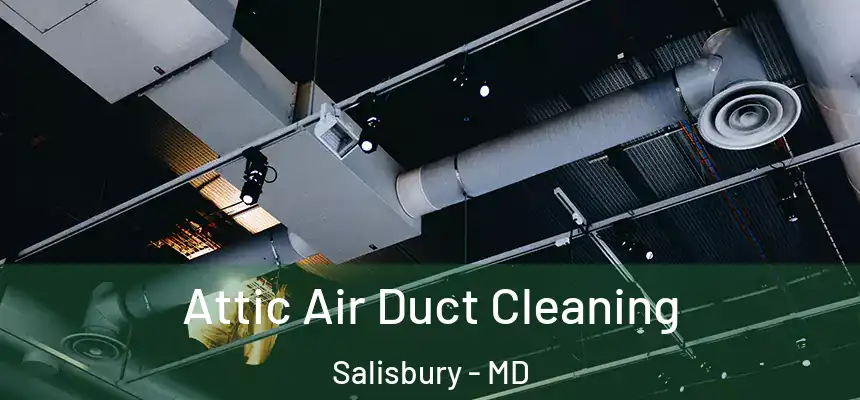 Attic Air Duct Cleaning Salisbury - MD