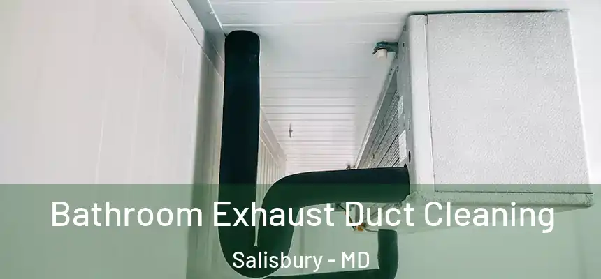  Bathroom Exhaust Duct Cleaning Salisbury - MD