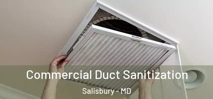 Commercial Duct Sanitization Salisbury - MD