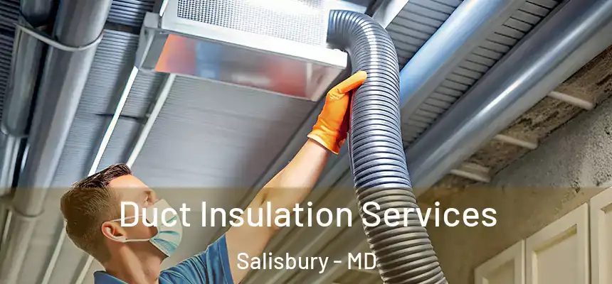  Duct Insulation Services Salisbury - MD