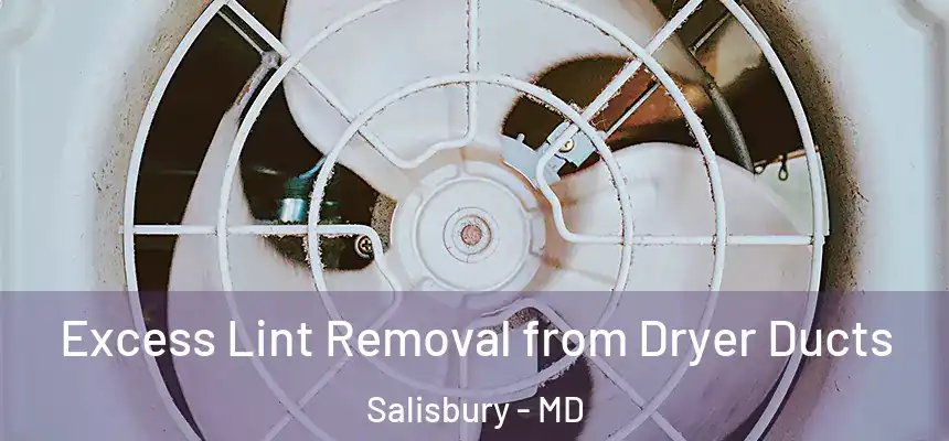  Excess Lint Removal from Dryer Ducts Salisbury - MD