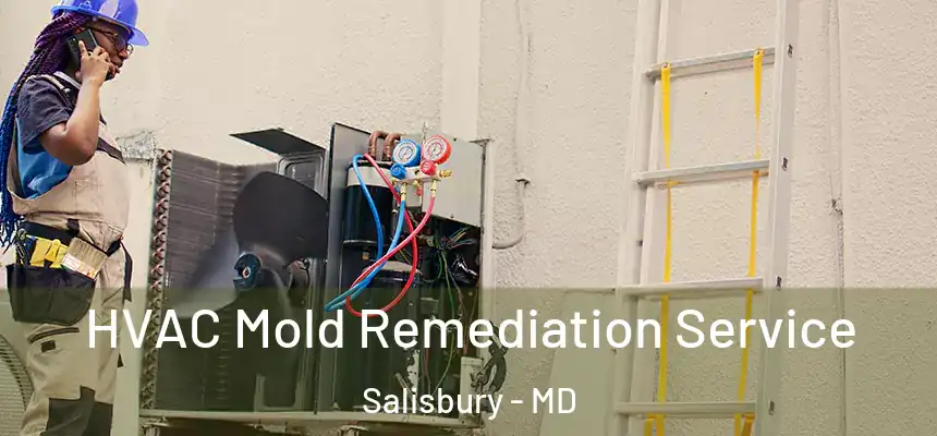  HVAC Mold Remediation Service Salisbury - MD