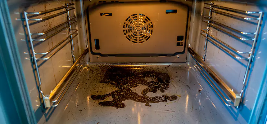 Our Dryer Vent Mold Cleaning Services in Salisbury, MD