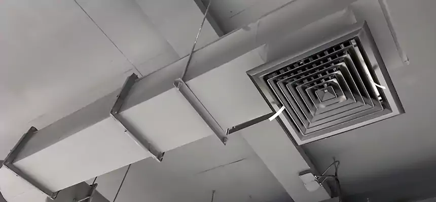 Our Pest Removal From Ducts Services in Salisbury, MD