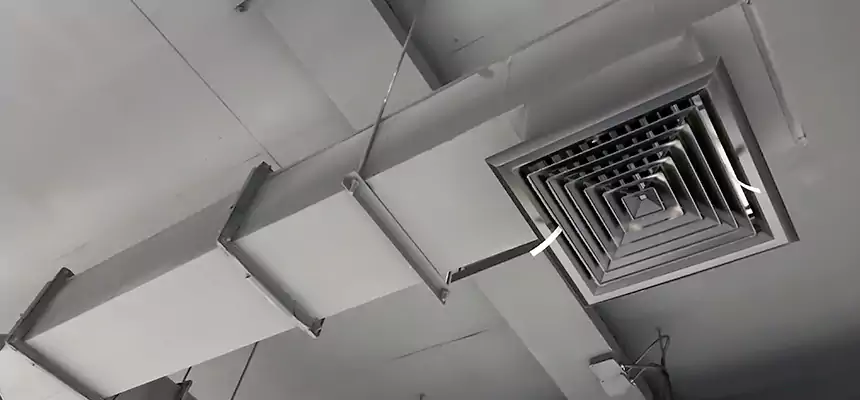 Our Rodent Droppings In Vents Services in Salisbury, MD