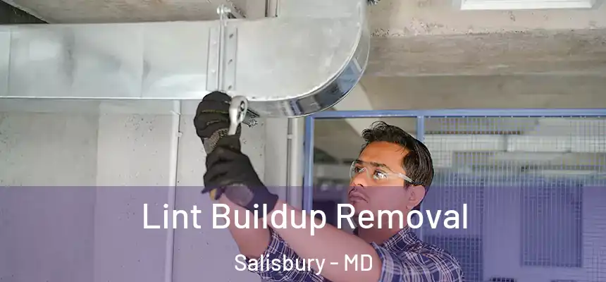 Lint Buildup Removal Salisbury - MD