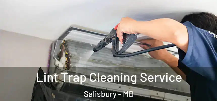  Lint Trap Cleaning Service Salisbury - MD