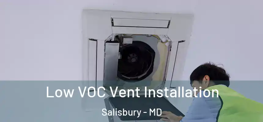  Low VOC Vent Installation Salisbury - MD