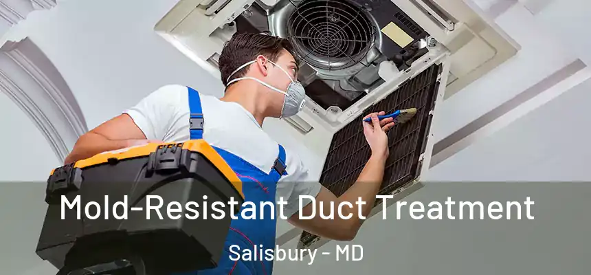  Mold-Resistant Duct Treatment Salisbury - MD