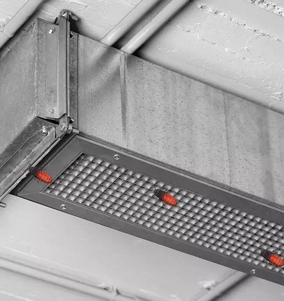 About Air Duct Cockroach Removal in Salisbury, MD