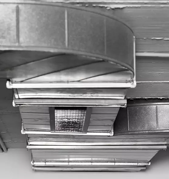 Professional Air Duct Pet Hair Removal in Salisbury, MD