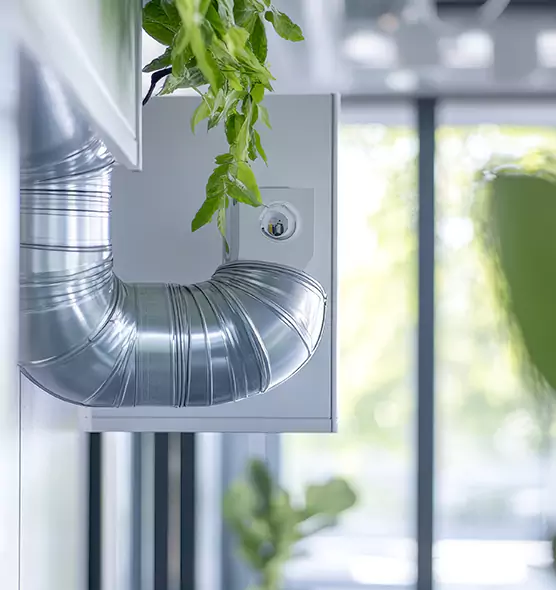 Professional Eco-Safe Dryer Vent Cleaning in Salisbury, MD