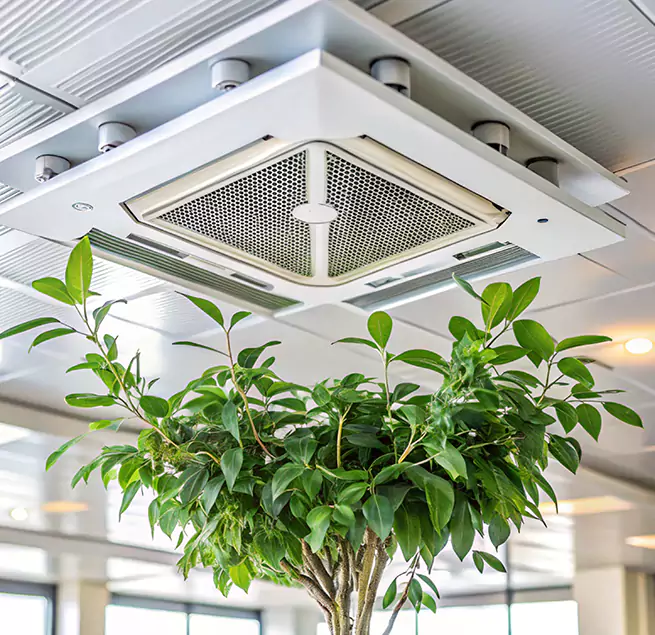 Why Homeowners & Businesses Trust Us in Salisbury, MD?