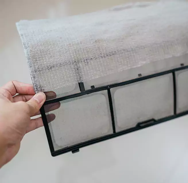 Why Homeowners & Businesses Trust Us in Salisbury, MD?