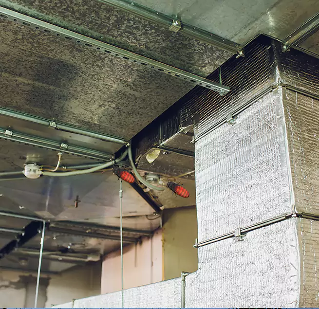 Why Homeowners & Businesses Trust Us Salisbury, MD?