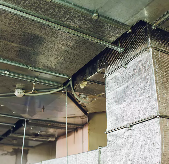 Why Homeowners & Businesses Trust Us in Salisbury, MD?