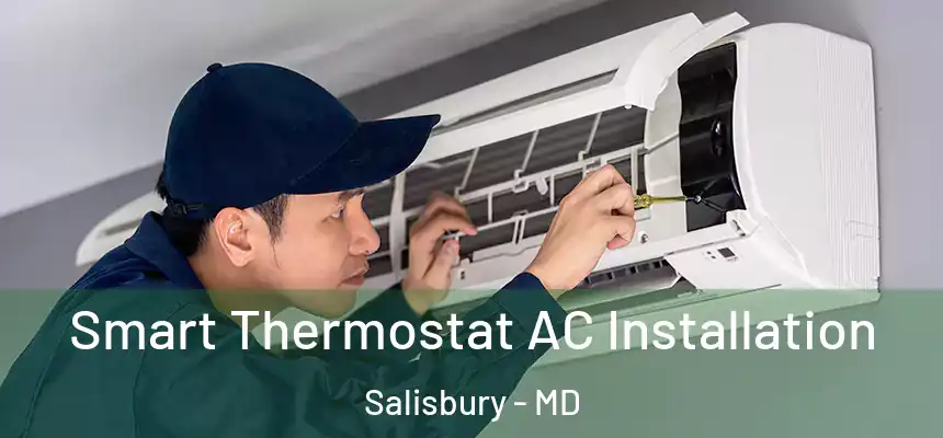 Smart Thermostat AC Installation Salisbury - MD