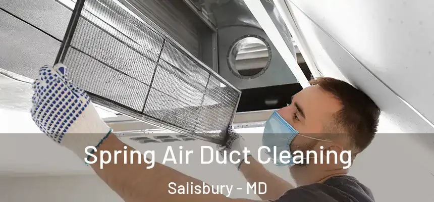 Spring Air Duct Cleaning Salisbury - MD