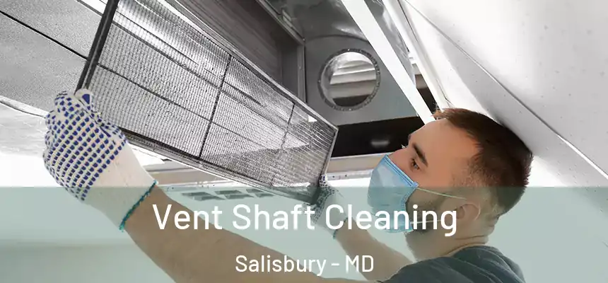  Vent Shaft Cleaning Salisbury - MD
