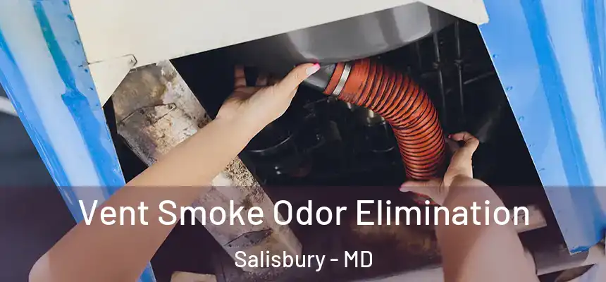  Vent Smoke Odor Elimination Salisbury - MD