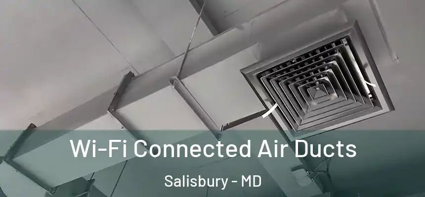  Wi-Fi Connected Air Ducts Salisbury - MD